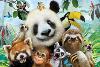 puzzle en trois dimensions représentant les animaux du zoo puzzle en trois dimensions représentant les animaux du zoo