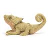 le lézard à collerette le lézard à collerette