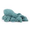 seiche ou calamar aux yeux bleus seiche ou calamar aux yeux bleus