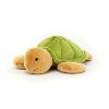 petite tortue