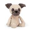 PABLO le chien carlin PABLO le chien carlin