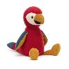 Perroquet multicolore Perroquet multicolore