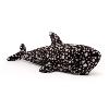 le requin baleine le requin baleine