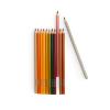 12 CRAYONS DE COULEUR ET 3 COLORIAGES "le jardinier"