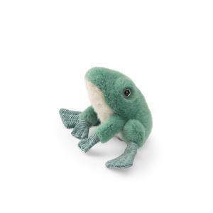 LA PETITE GRENOUILLE VERTE "tout autour du monde"
