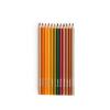 12 CRAYONS DE COULEUR ET 3 COLORIAGES "le jardinier"