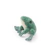 LA PETITE GRENOUILLE VERTE "tout autour du monde"