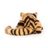 TAYLOR LE MAGNIFIQUE TIGRE COUCHÉ