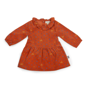 ROBE EN VELOURS FOND ROUILLE IMPRIMÉ FANTAISIE "INDE"