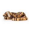 TAYLOR LE MAGNIFIQUE TIGRE COUCHÉ