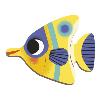 MAGNÉTI'BOOK SUR LE THÈME DES POISSONS TROPICAUX