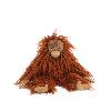 le petit orang outan 