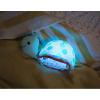 TORTUE MARINE LUMINEUSE ET SONORE