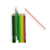 12 CRAYONS DE COULEUR ET 3 COLORIAGES "le botaniste"