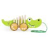 CROCODILE À PROMENER