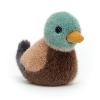 petite peluche poussin canard colvert