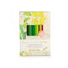12 CRAYONS DE COULEUR ET 3 COLORIAGES "le botaniste"