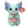 ALEX l'axolotl