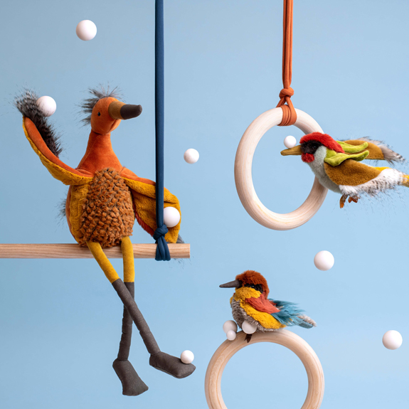 les oiseaux "tout autour du Monde"