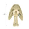 PANTIN LAPINOO AUX GRANDES OREILLES COLORIS VERT